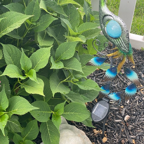 Thanks for sharing in advance💞 - Picture 7 of 7